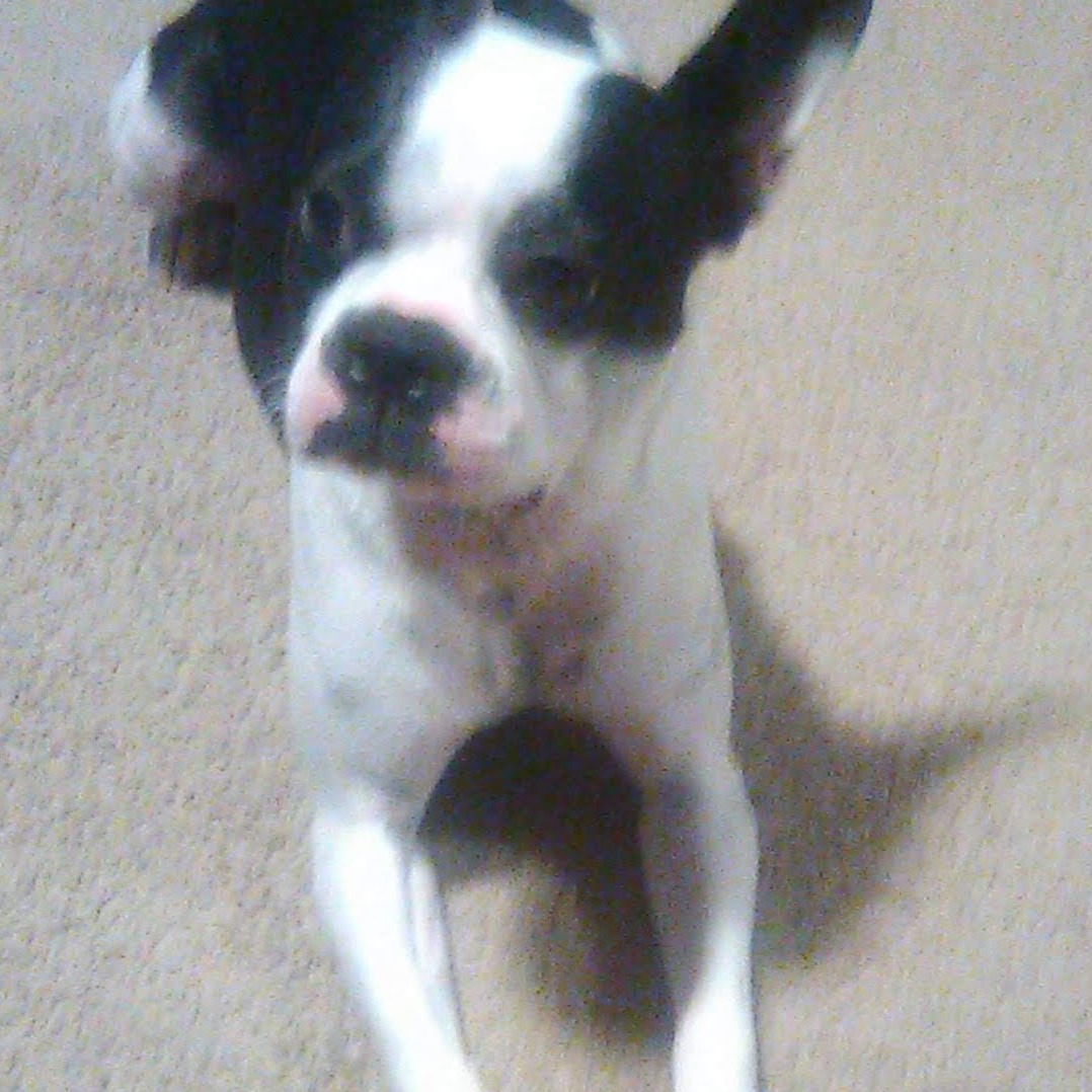 Bella041011