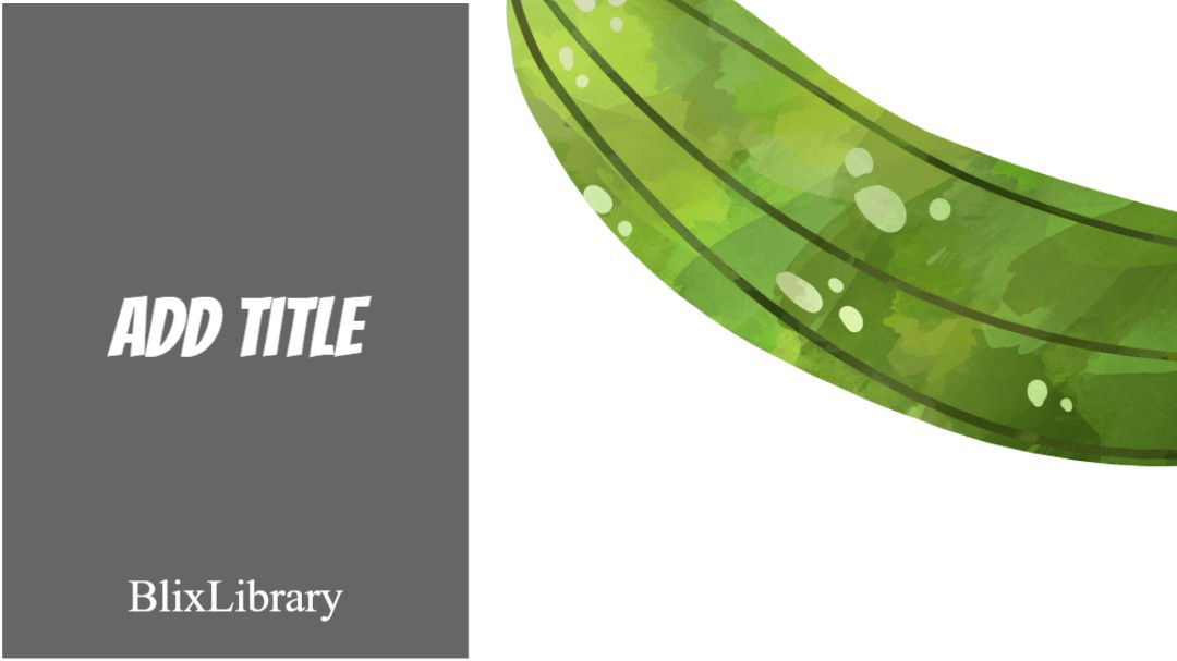 Blixlibrary's Story