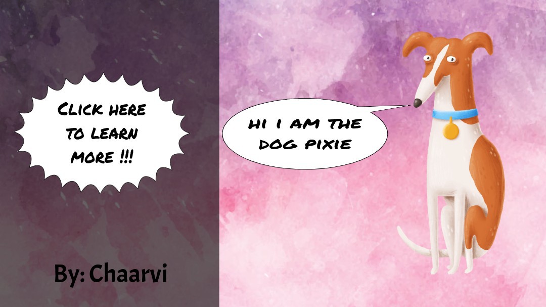 Animal project by Chaarvi