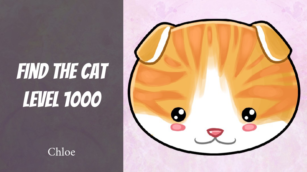 Find The Cat~HARD