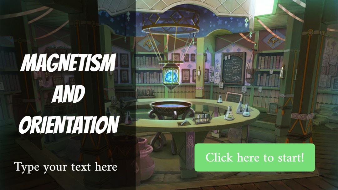 Magnetism and Orientation