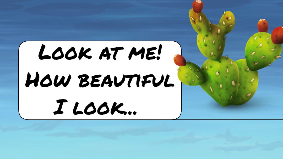 Cactus