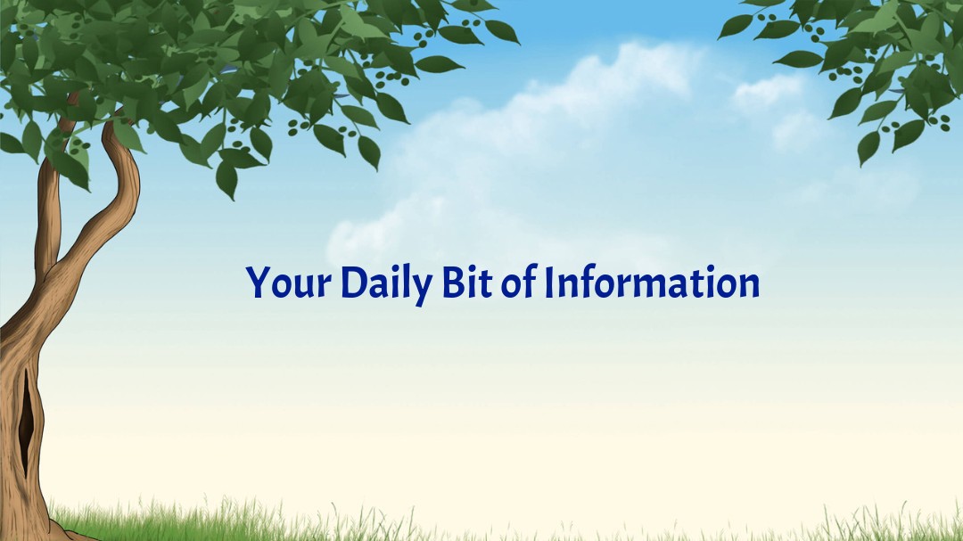 Your Daily Bit of Information : Issue 8