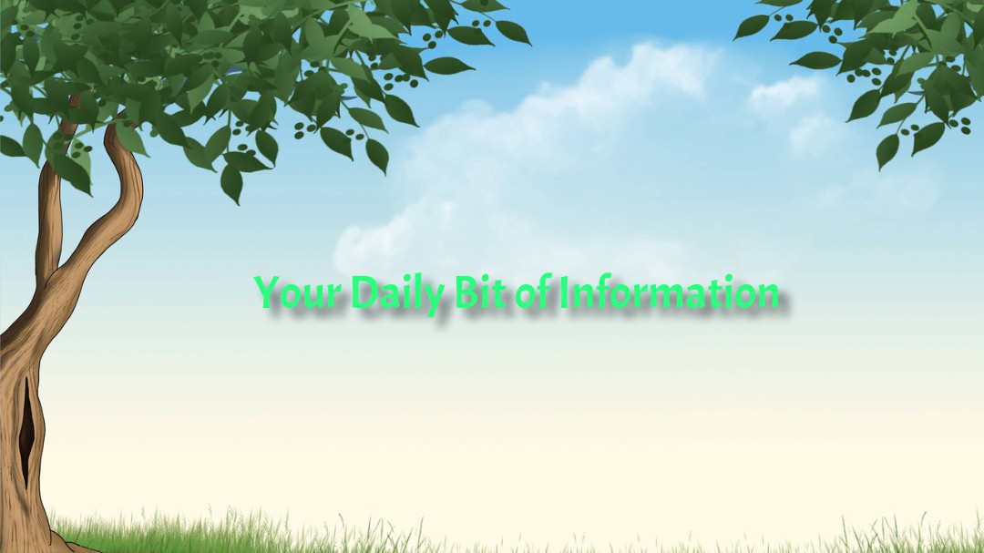 Your Daily Bit of Information : Issue 7