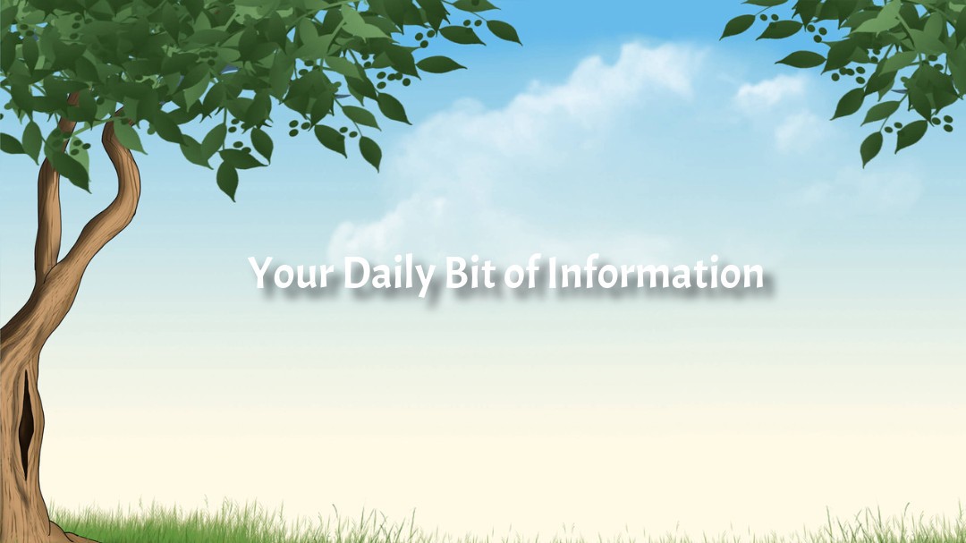 Your Daily Bit of Information : Issue 11