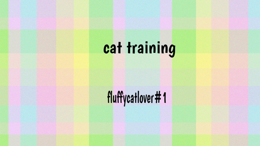 Cat Training