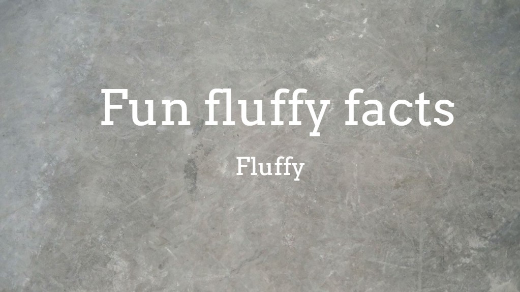 Fun fluffy facts