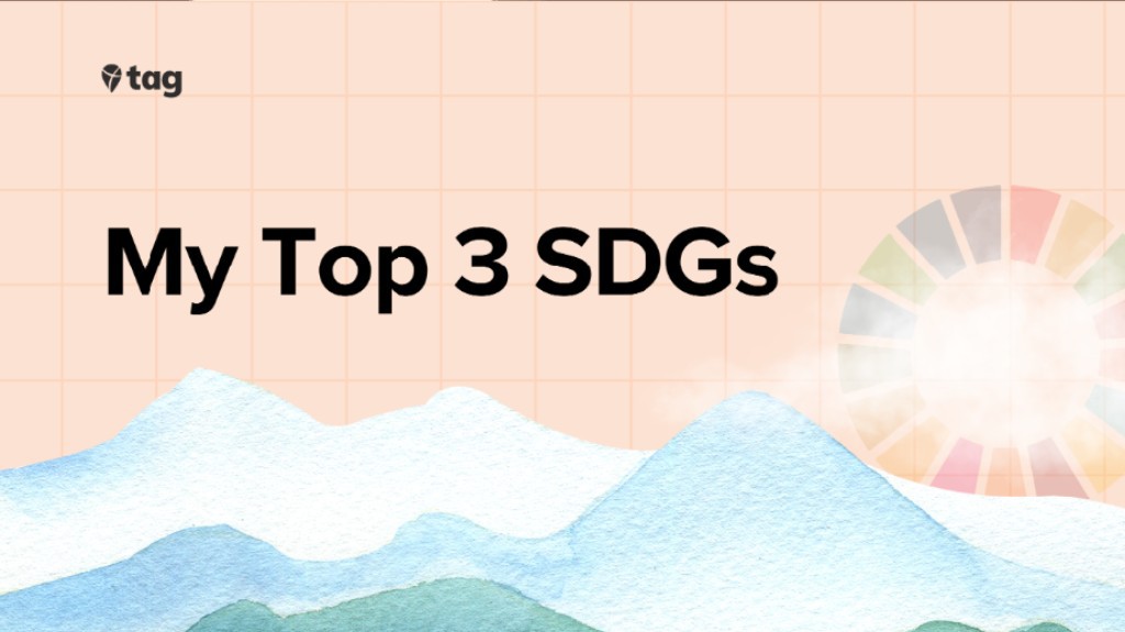 My Top 3 SDGs