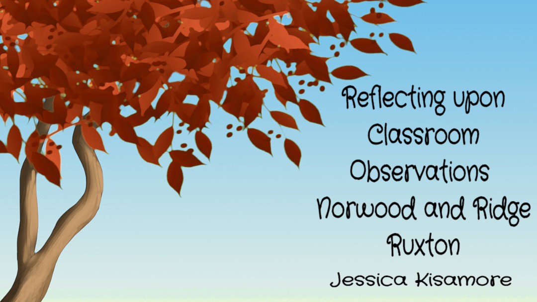 Classroom reflection