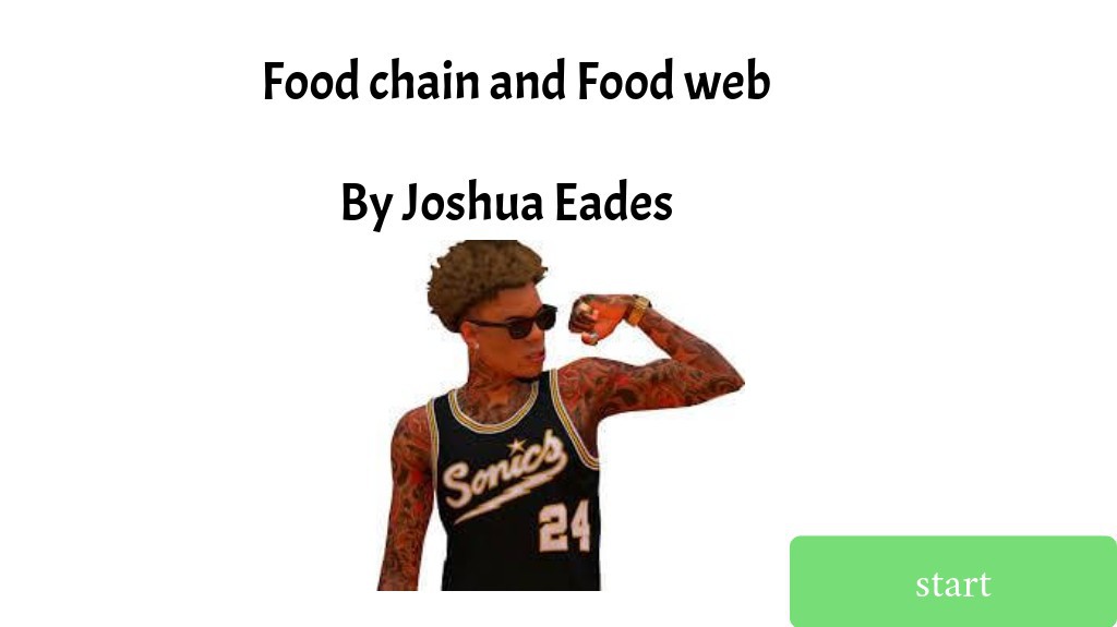 food chain and food web