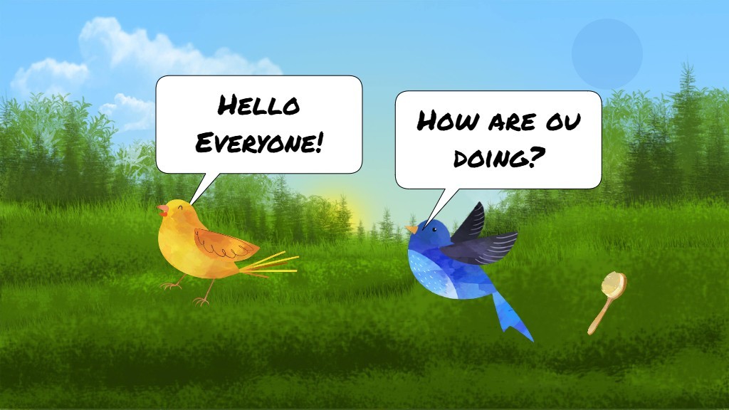 Kevin's Bird Brains