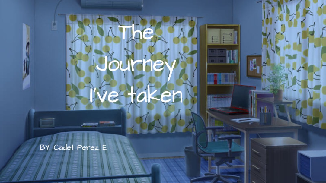 The Journey I've taken . Remix