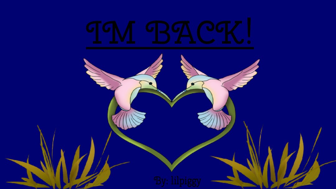 IM BACK!!