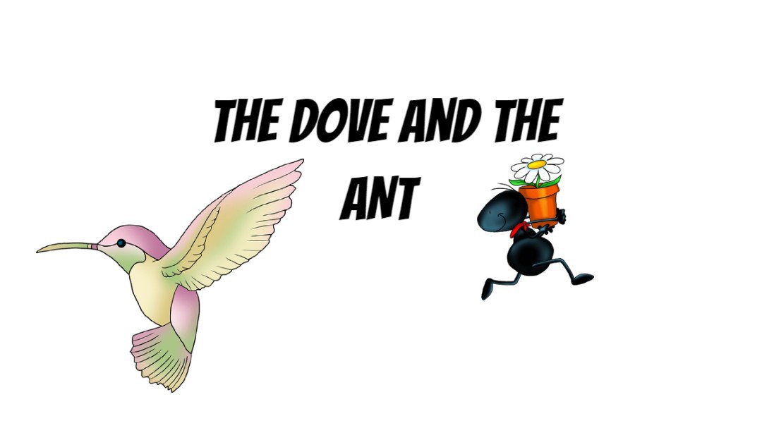 the dove and the ant
