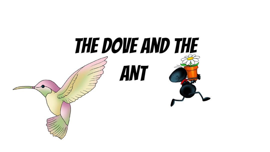 the dove and the ant