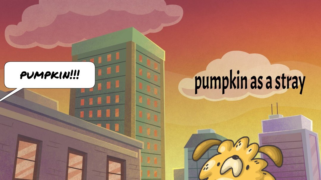 pumpkin as a stray