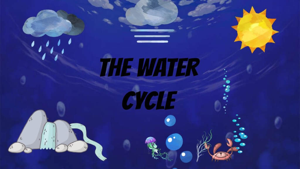 The Water cycle