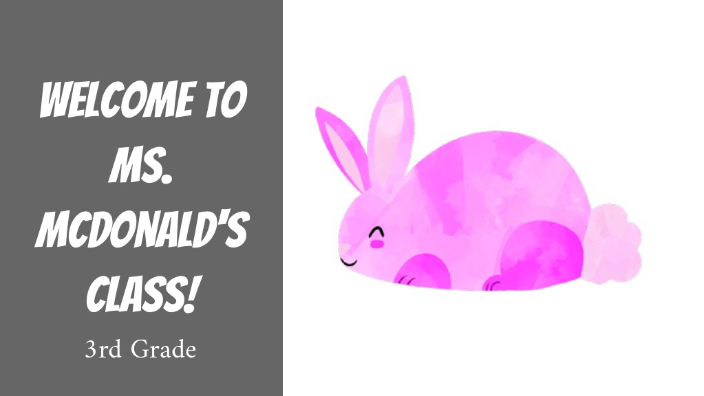 Ms. McDonald's 3rd Grade Class