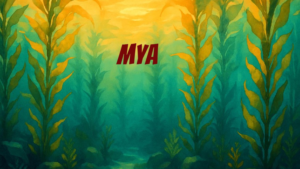 Myas's Project
