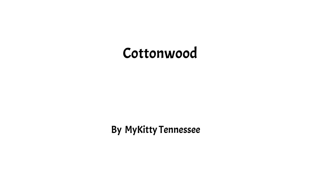 Mykittytennessee's Story