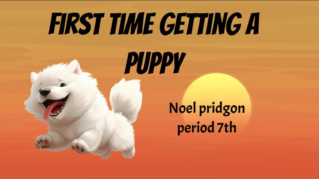 Noelp5's Project