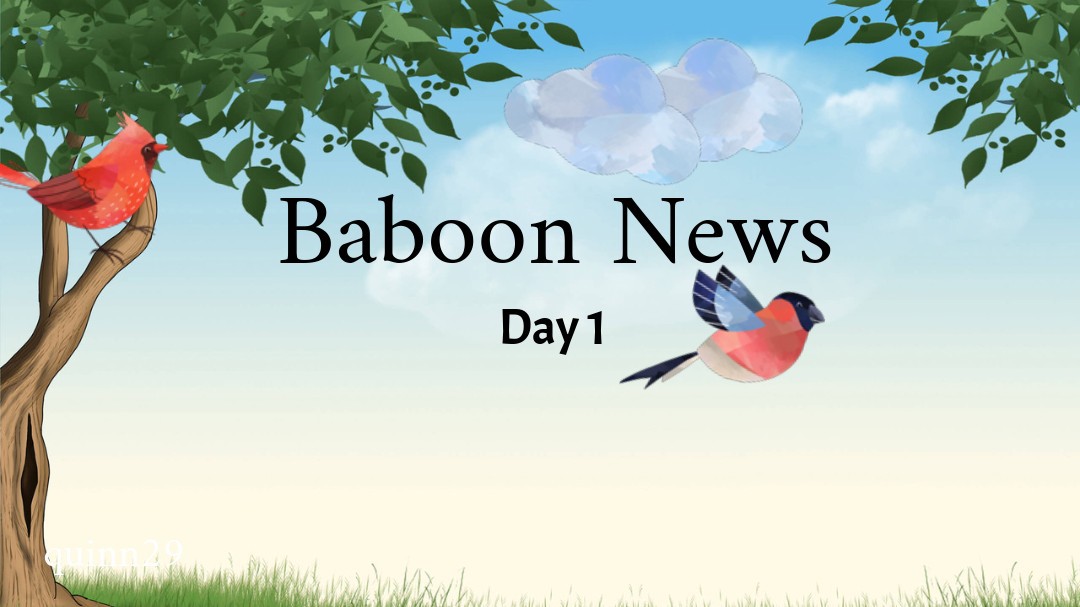 Baboon News day 1