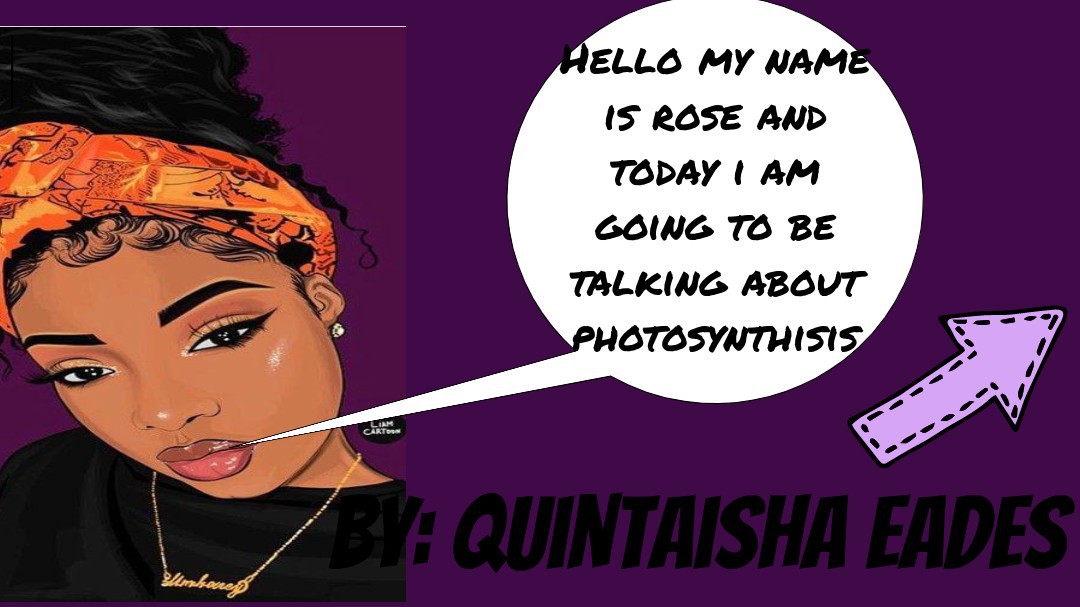 Quintaisha's Story