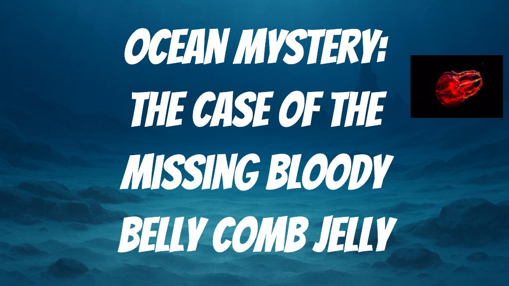 The Ocean Mystery
