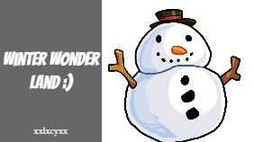 Winter Wonder land