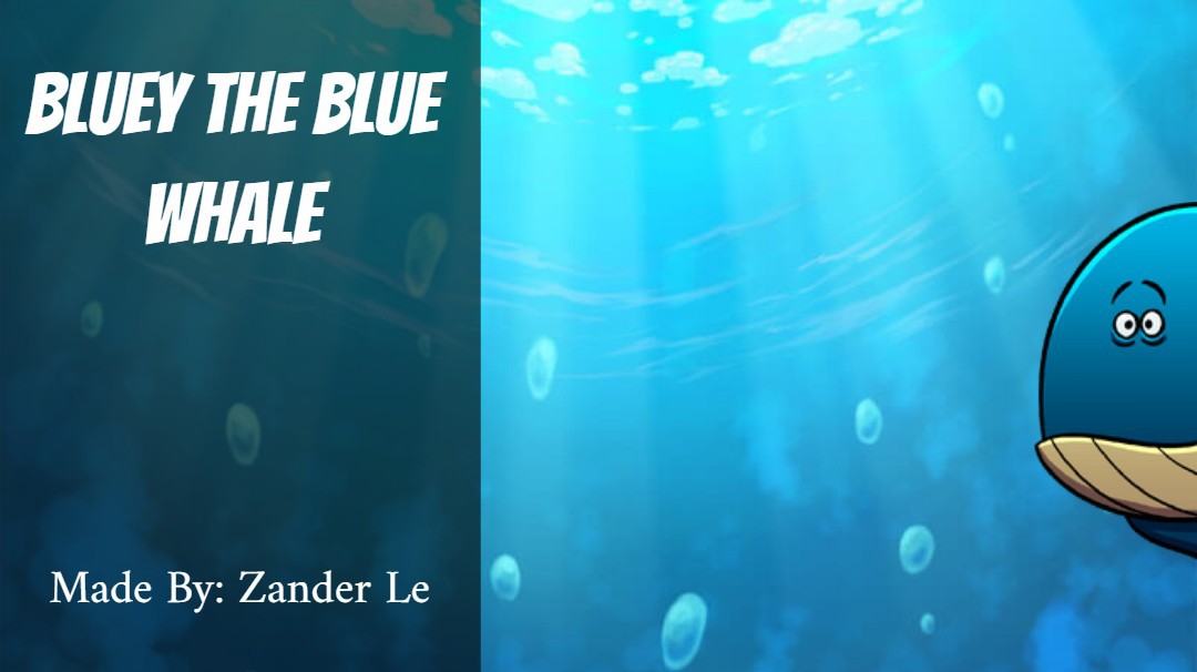 Bluey the blue whale